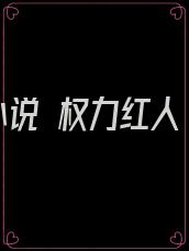 小说 权力红人